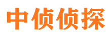 德保外遇出轨调查取证